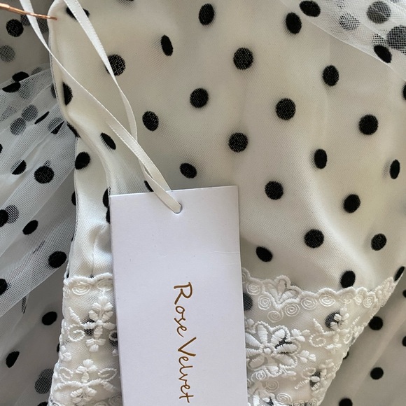 Rose Velvet Dotted tulle gown - Picture 11 of 13